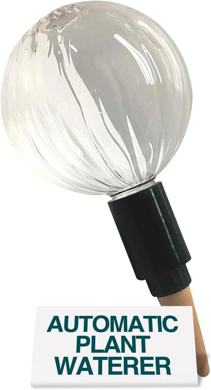 Blumat Glass Plant Self Watering Globes,Automatic Houseplant Drip Irrigation for Indoor Plants, Hanging Plants, Houseplants, Plant Garden Accessories,Vacation Plant Savers,Large Globe Small Adapter