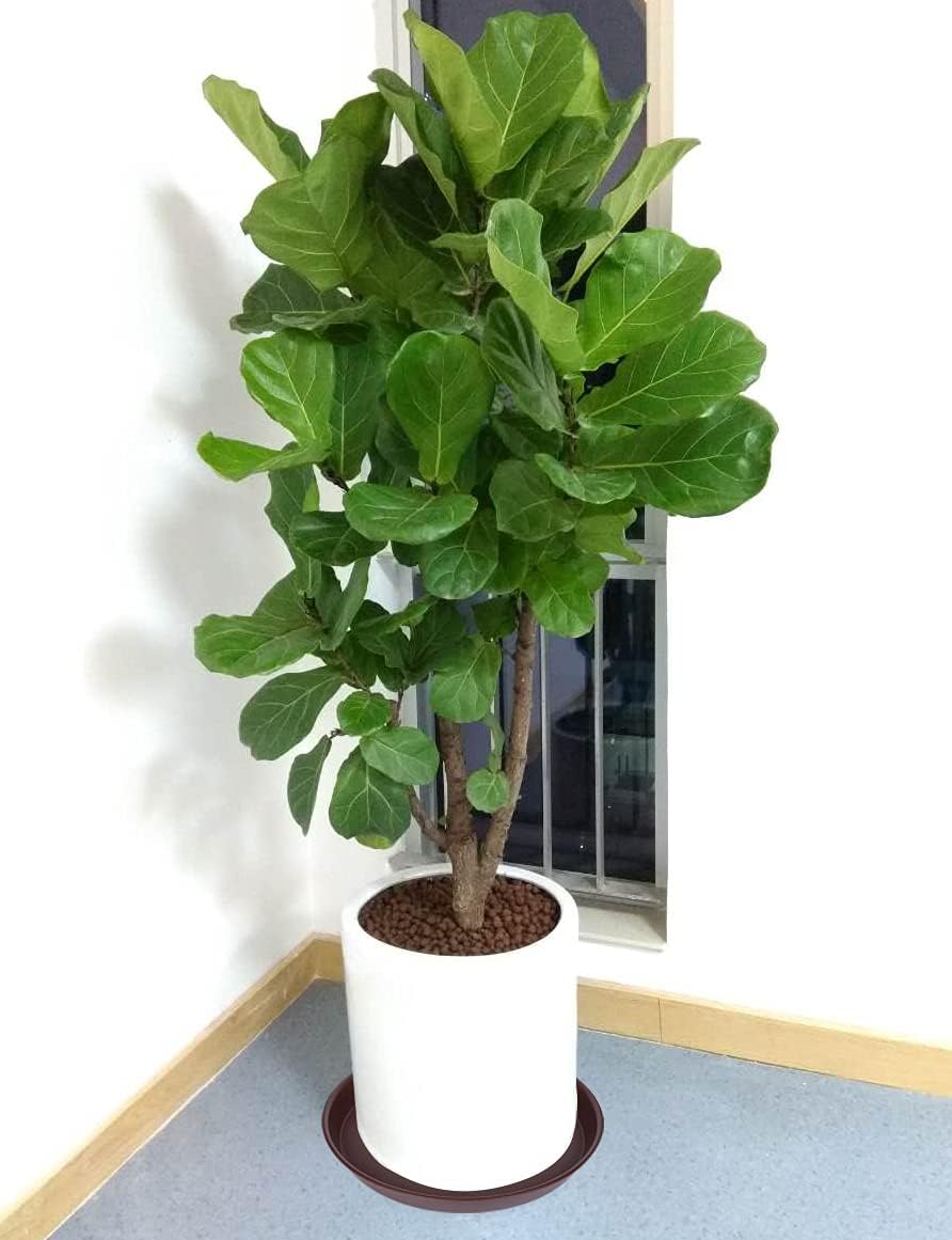 4 Pack of 14 inch Plant Saucer, Heavy Duty Round Plant Trays for Pots, Bird Bath Bowls, Plastic Plant Water Tray, Flower Plant Saucers for Indoors (14", Chocolate)