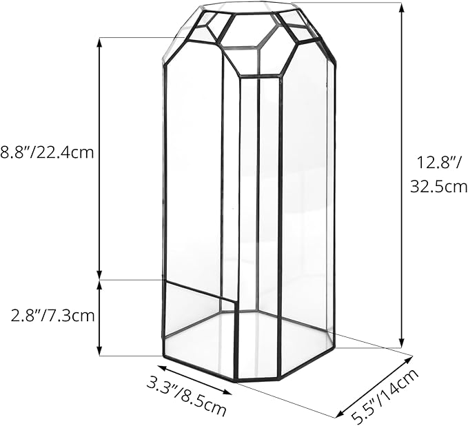 NCYP Open Glass Geometric Terrarium for Plant, Succulent, Cacti - 5.5"x5.5"x12.8" Indoor Tall Octagon Glass Planter, Home Garden Office Vintage Decoration, Micro Landscape (Terrarium Only)