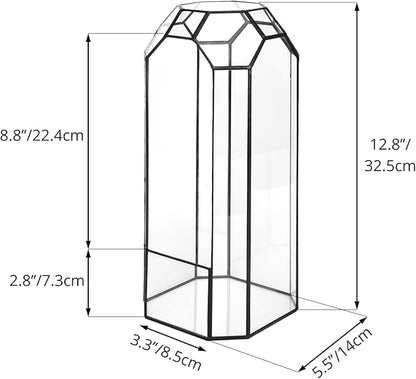 NCYP Open Glass Geometric Terrarium for Plant, Succulent, Cacti - 5.5"x5.5"x12.8" Indoor Tall Octagon Glass Planter, Home Garden Office Vintage Decoration, Micro Landscape (Terrarium Only)