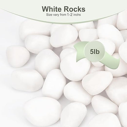 5 lbs White Rocks for Plants Indoor, 1-2 inch Decorative Garden Stone Outdoor Landscaping, Walkways, Yard, Large Polished River Rocks for Plants Pots, Vases, Crafts