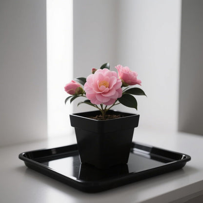 JOIKIT 15 PCS 11.4 x 11.4 x 1.5 Inch Square Plant Saucer, Plastic Plant Saucer Drip Tray, Square Flower Pot Tray for Indoors and Outdoor Plant Pots, Black