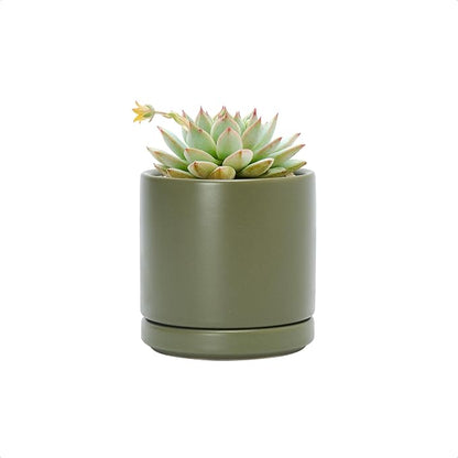 D'vine Dev 3.5 Inch Ceramic Planter Pot with Drainage Hole and Saucer, Indoor Cylinder Round Planter Pot, Olive, 94-O-A-J