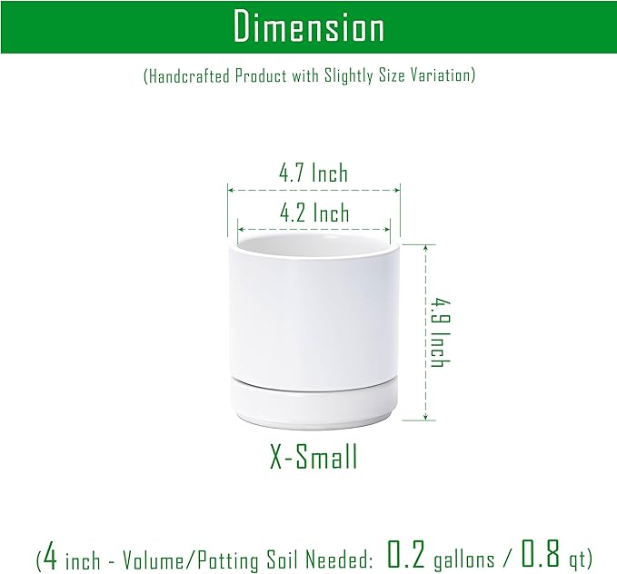 D'vine Dev Set of 2 Plants Pot, 4.7 Inch Ceramic Planter Pot for Plants with Drainage Hole and Saucer, White, 94-V-B-1