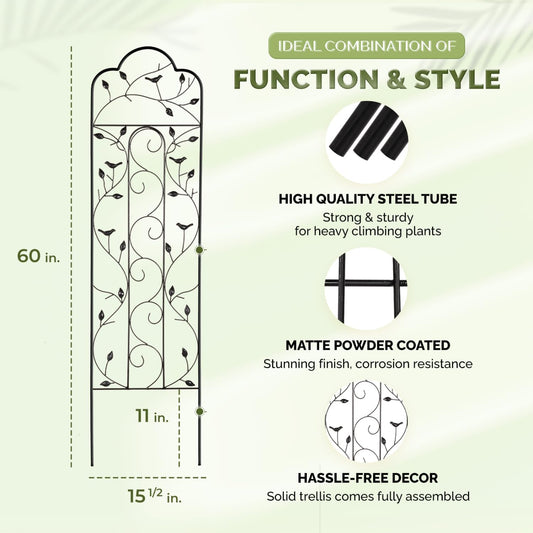 Idzo Decorative Metal Trellis for Climbing Plants Outdoor, Anti-Corrosion Powder Coated Garden Trellis, Sturdy Long Spikes, 60 Inch