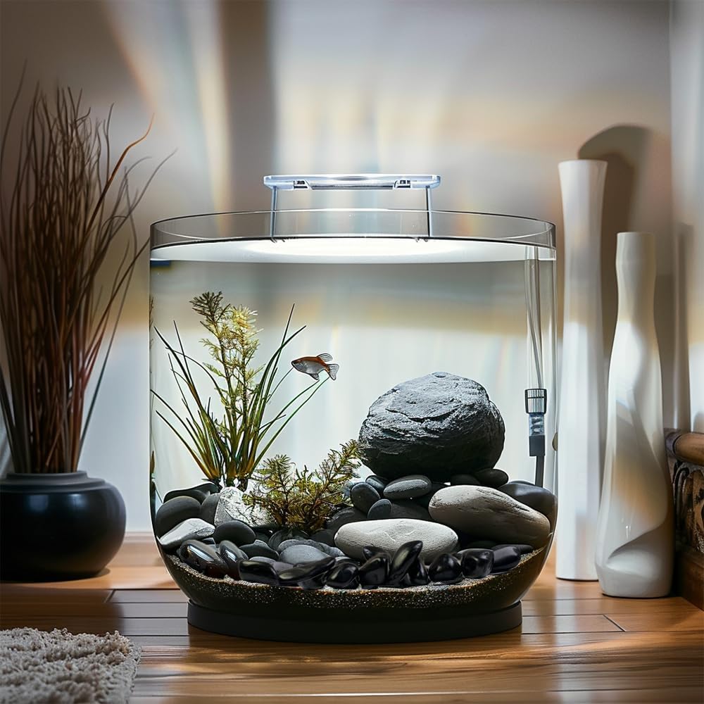 HappyFiller 18 LB Black Pebbles Decorative Polished Terrarium Rocks Stones for Aquarium,Fish Turtle Tank,Fountain,Plants Top Dressing,Cactus,Succulents,Garden Landscaping,0.8-1.6 Inch