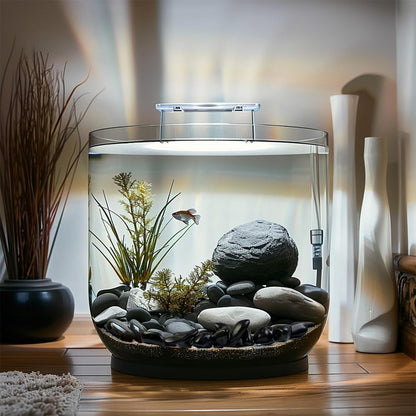 HappyFiller 18 LB Black Pebbles Decorative Polished Terrarium Rocks Stones for Aquarium,Fish Turtle Tank,Fountain,Plants Top Dressing,Cactus,Succulents,Garden Landscaping,0.8-1.6 Inch