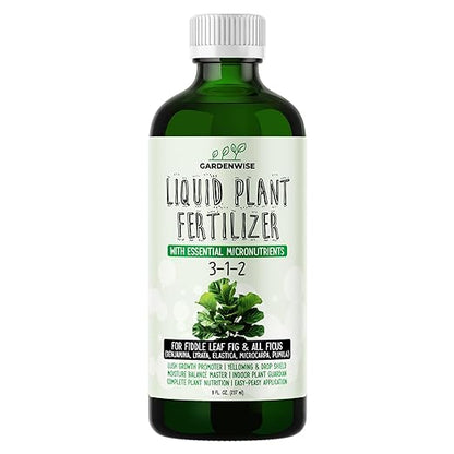 3-1-2 Liquid Fertilizer Concentrate with Micronutrients - Optimal Fiddle Leaf Fig Plant Food, Ideal for Ficus Lyrata & Fig Trees, Gold Leaf Enhanced Indoor Plant Fertilizer (8 OZ)