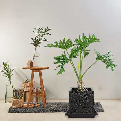 Square Plant Saucer 14 Inch 4 Pack, 6 8 10 12 13 16 18 20 Durable Plastic Plant Trays for Pots-Indoor Outdoor, Durable and Thicker Large Plant Drip Trays, Flower Planter Saucers for Potted Plants