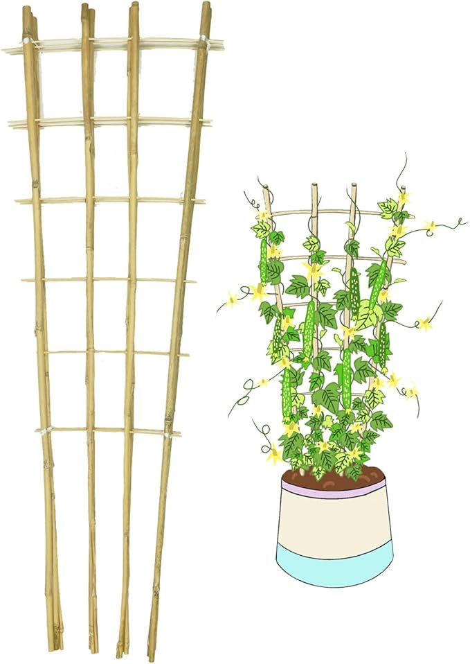 Natural Bamboo Trellis, 4.8Feet,3Pack,Fan-Shaped Plant Support Trellis for Outdoor and Indoor Potted Climbing Plants,Vegetables, Cucumber, Tomato, Hoya, Wisteria,Ivy,Orchid, Jasmine Monstera, Vine,