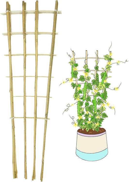 Natural Bamboo Trellis, 4Feet,6Pack,Fan-Shaped Plant Support Trellis for Outdoor and Indoor Potted Climbing Plants,Vegetables, Cucumber, Tomato, Hoya, Wisteria,Ivy,Orchid, Jasmine Monstera, Vine,