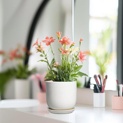 Indoor Plant Pot 5 Inch - Round Ceramic Planter for Succulent Plants with Drainage Hole and Saucer, Modern Home Decor, White