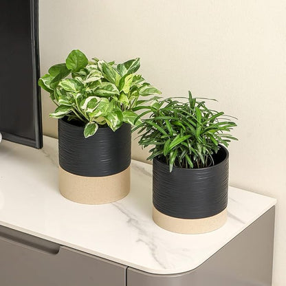 Nihow Ceramic Plant Pot: 6 Inch Planter with Drainage Hole & Saucer for Indoor & Outdoor Plants - Cylinder Round Flower Pot for Succulent/Herbs/Violets - Black & Brown