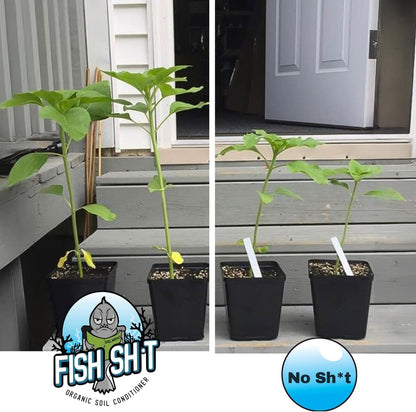 Fish Head Farms Organic Soil Conditioner for Yield and Flavor Enhancement. Improves Fertilizer Efficiency. Useful in Both Garden Soil and Hydroponics Applications (1 Liter with Garlic Chives)