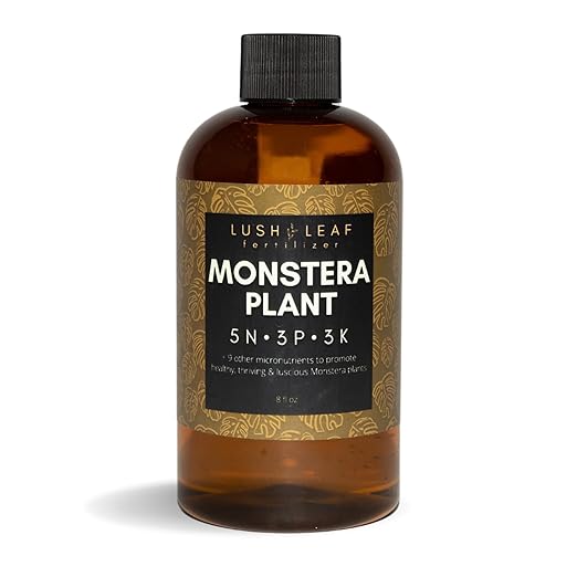 Lush Leaf | Plant Food (Monstera)