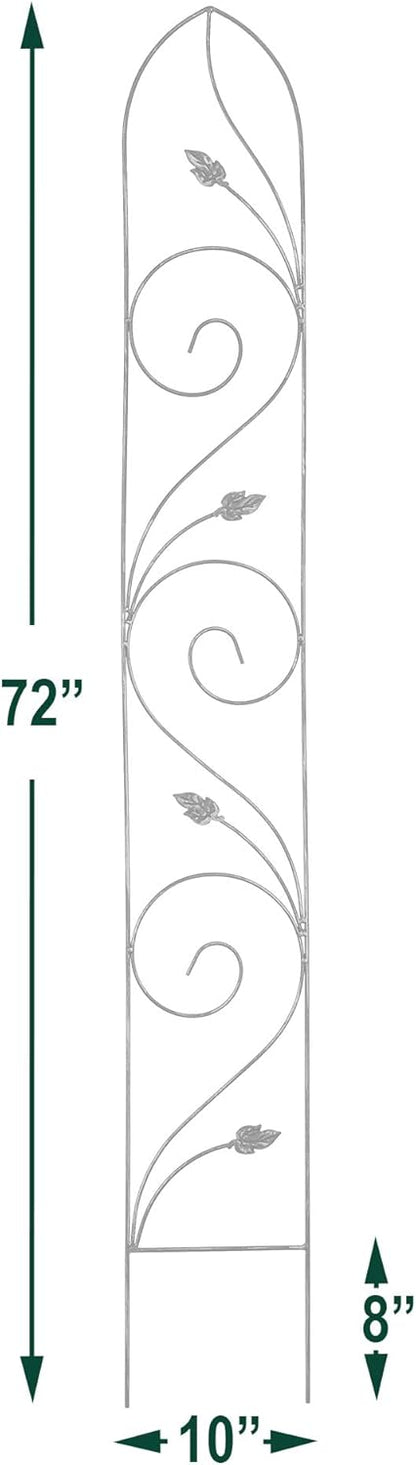 TR06 Autumn Leaf Trellis 6'x10, Black
