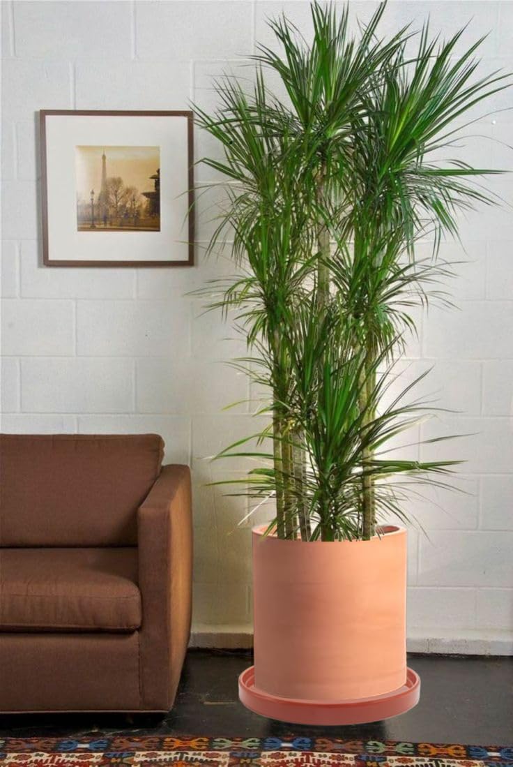 Ceramic Plant Saucer Pot Tray 10.7 Inch, Planter Saucers 6 7 8 9 10 11 12 15 Inch, Durable Sturdy Flower Drainage drip Water Tray for Glazed Pots Base (10.7Inch- Red Terracotta)