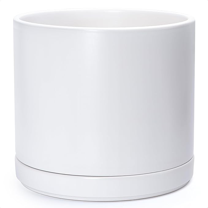 D'vine Dev 14 Inch Ceramic Planter Pot with Drainage Hole and Saucer, Indoor Cylinder Round Planter Pot, White, 94-O-G-1