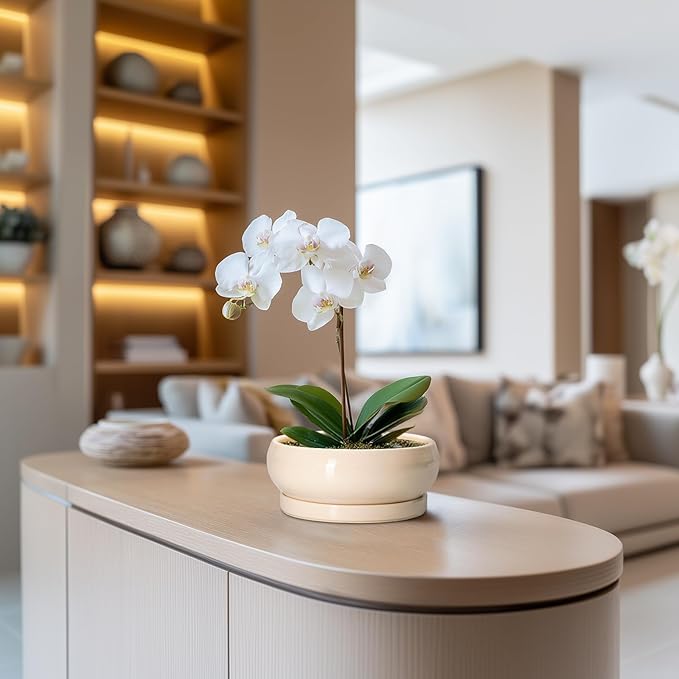 Small Bonsai Pots - 6 Inch Ceramic Succulent Planters for Indoor Plant Outdoor, Shallow Planter with Drainage Hole and Saucer, Round Succulent Pots, Kitchen Decor, Gifts for Women Men, Beige