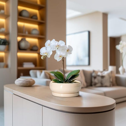 Small Bonsai Pots - 6 Inch Ceramic Succulent Planters for Indoor Plant Outdoor, Shallow Planter with Drainage Hole and Saucer, Round Succulent Pots, Kitchen Decor, Gifts for Women Men, Beige