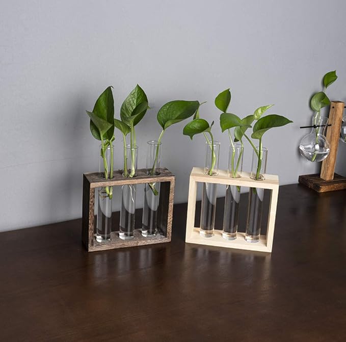 Wooden Propagation Station with 3 Glass Test Tubes, Tabletop Glass Terrarium Holder for Cuttings Hydroponics, Home Office Desk Decor Gift for Women Mom Plant Lovers, Brown