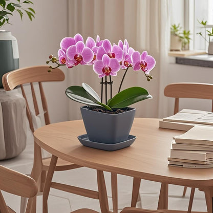 Square Plant Saucer 8 Inch 2 Pack，Plant Trays for Pots, Gray Ceramic Plant Saucers for Indoors Outdoors, Plant Drip Tray 4 6 8 10 12 14 Inch