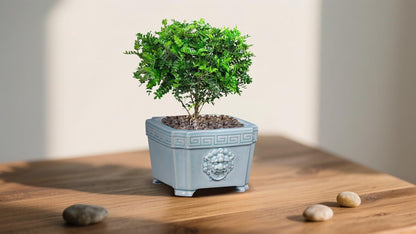 8-Inch Large Bonsai Pot Light Blue Water Bonsai Tree Ceramic Flower Pot Handmade