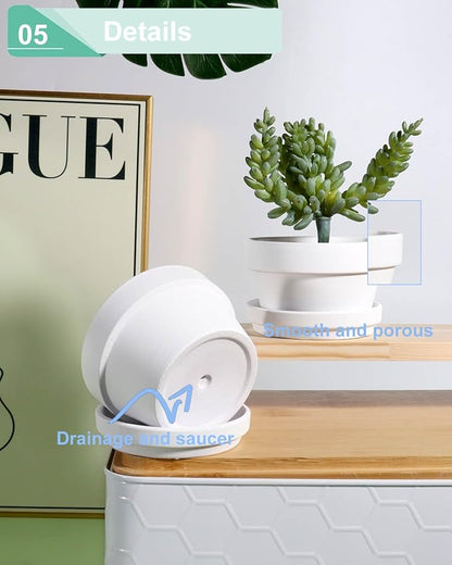 vensovo 3.7 Inch White Terracotta Shallow Succulent Pots - 6 Pack Terra Cotta Clay Pot with Saucer, Cacuts Indoor and Outdoor Planters with Drainage Hole