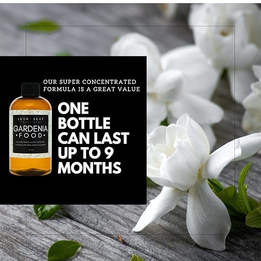 Lush Leaf | Plant Food (Gardenia)