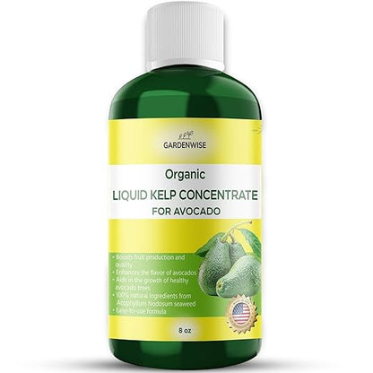Organic Premium Kelp Seaweed Fertilizer - Liquid Plant Food - Nutrient-Rich Soil Enhancer - Improves Fruit Yield and Quality - Natural Plant Food for Avocado Tree (8 OZ)