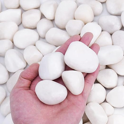 5 lbs White Rocks for Plants Indoor, 1-2 inch Decorative Garden Stone Outdoor Landscaping, Walkways, Yard, Large Polished River Rocks for Plants Pots, Vases, Crafts