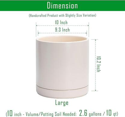 D'vine Dev 10 Inch Ceramic Planter Pot with Drainage Hole and Saucer, Indoor Cylinder Round Planter Pot, Oatmeal, 94-O-E-8