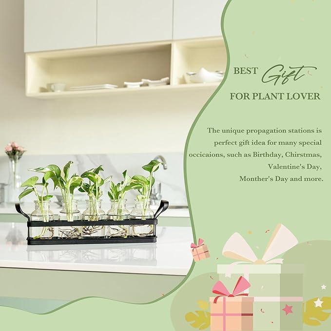 Mkono Propagation Stations with Metal Stand, Desktop Plant Terrarium Glass Planter Vase for Hydroponic Plants Flower Cutting Home Office Garden Decor Plant Lover Gifts, 5 Jars