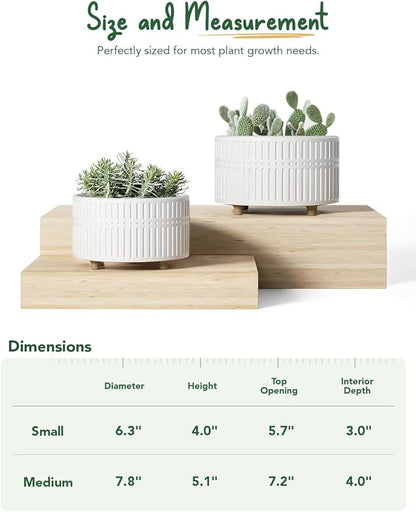 LE TAUCI Succulent Pots, 6.5+8 Inch Ceramic Indoor Plant Pot with Drainage Hole, Shallow Round Succulent Planters, Set of 2, Matte White