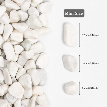 11lbs White Natural River Rocks, Polished Pebbles for Plants Garden, 0.3-0.8 inch Decorative White Stones, Ideal for Fish Tank, Vases, Crafting, Home Decor and Garden Landscaping Rocks,White