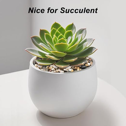 Succulent Rocks,Virekm River Rocks, Decorative Ornamental Pebbles Garden Landscaping Stones Gravel Filler for Home Decoration Flower Bed Fish Tank Plants Vases Succulents