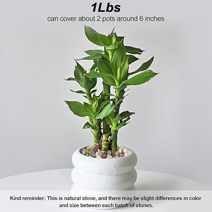 Landscaping Pebbles River Rocks Decorative Ornamental Pebbles Garden Landscaping Stones Gravel Filler for Home Decoration Flower Bed Fish Tank Plants Vases Succulents (1, Green, 1 Pound)