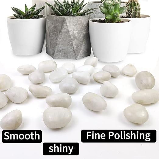 10LB White Pebbles for Plants,1-2.2 Inch Polished Stones for Indoor Pants, Decorative River Rocks for Landscaping. Succulents, Crafting,Fish Tank,Garden,Vase Filler, Outdoor Decoration