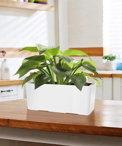 SAROSORA 14" Rectangle Self Watering Planter with Water Level Indicators for Plants & Flower Home Garden Outdoor Indoor Succulent | Herb pots | Window Box (1, White)