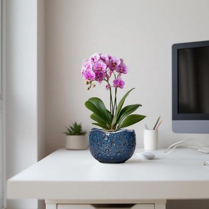 6 Inch Plant Pot - Ceramic Pots for Plants with Drainage Hole, Round Orchid Pot, Unique Planter for Indoor Outdoor, Modern Decorative Flower Pots, Room Decor, Plant Lovers Gifts, Retro Blue
