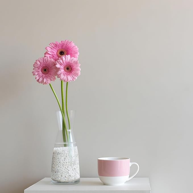 Mr. Fireglass 2lbs White Pebbles,1/5" Natural Decorative River Rocks Aquarium Gravel for Indoor Plants, Vases, Succulents and Outdoor Garden Landscaping