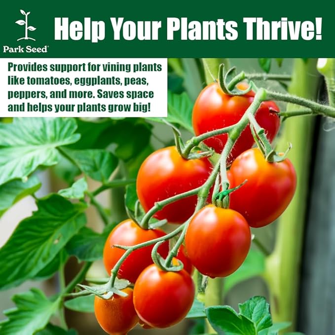 Park Seed Tomato Cages – 48" Tall Heavy-Duty Plant Supports for Tomatoes, Peppers, Cucumbers, and Climbing Vegetables, Foldable Metal Garden Trellis, Pack of 3