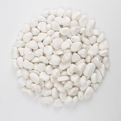 40 lbs White Polished Landscape Stones, 0.5-1 Inch Decorative Rocks for Gardens, Pathways, Pots, Vase Fillers, Aquarium Decoration, Glass Containers, and Yard Borde (Pure White, Weight: 40 LB)