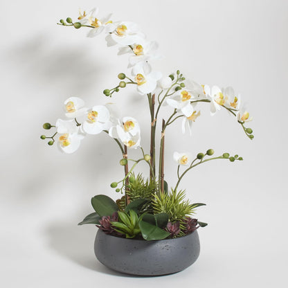 Faux Orchid Plant w/Succulents, Premium Artificial Indoor Flower Display Stands 24” w/Beautiful Sculptural Blooms and Succulents That Lasts Forever, Grey Planter Pot Included