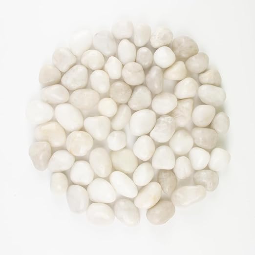 River Rocks - Natural Polished White Pebbles, 0.5-1 inch, 10 Lbs - Ideal for Indoor Planting, Vase Filling, Aquarium Decoration, and Garden Landscaping (White, Weight: 10 LB)