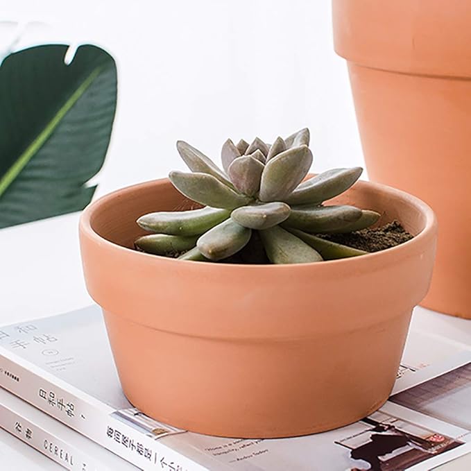 Briful 4 PCS Shallow Terracotta Pots 5.5"x2.8" Flower Pot Clay Pottery Planter with Drainage Hole Cactus Succulent Plant Nursery Pots- Great for Plants,Crafts
