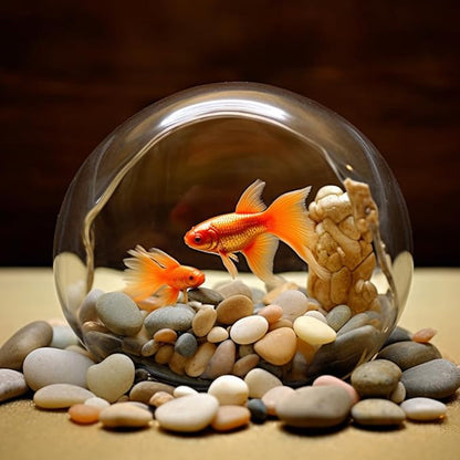 6 LBS River Rocks, StoneCreek, Decorative Garden Stones for Plant Landscaping, Polished Gravel Filler Pebbles for Home Decoration, Vases, Succulents, Flower Beds and Fish Tanks (Mixed Color, Medium)