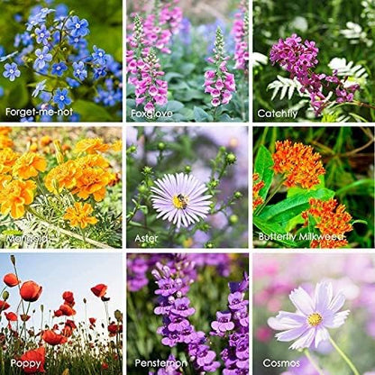 Pollinator Wildflower Seeds Bulk – 5 lb, 3.2 Million+ Seeds – 23 Variety Mix for Hummingbirds & Butterflies – Non-GMO Annual & Perennial Flower Seed for Planting