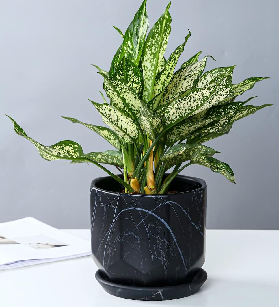 Large Marble Black Plant Pot with Drainage Holes and Saucers, Ceramic Pots for Indoor Outdoor Plants, 7 Inch Premium Hand Glazed Planters for Flower, Garden, Succulent, Nursery, Home Decor