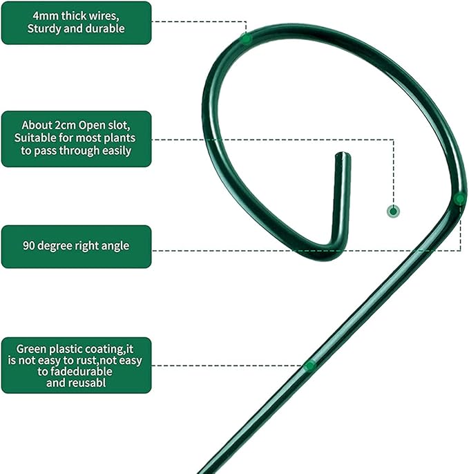 10 pcs 8 inch Metal Single Stem Flower Plant Support Stakes and Rings for Amaryllis Orchid Lily Sunflower Rose Narcissus